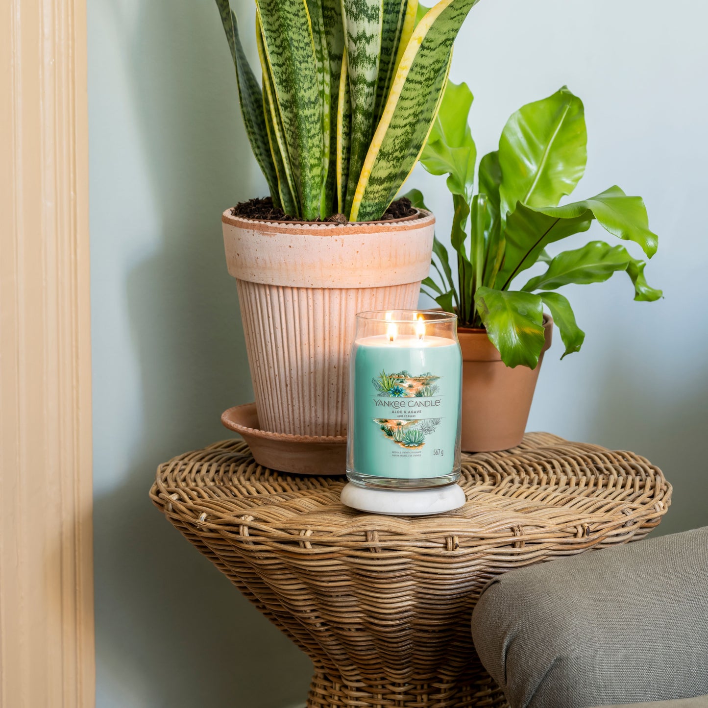 Yankee Candle® Signature didelė žvakė – Aloe & Agave