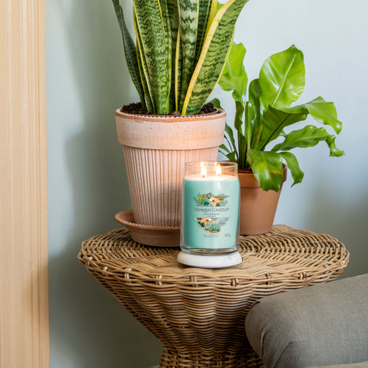 Yankee Candle® Signature didelė žvakė – Aloe & Agave