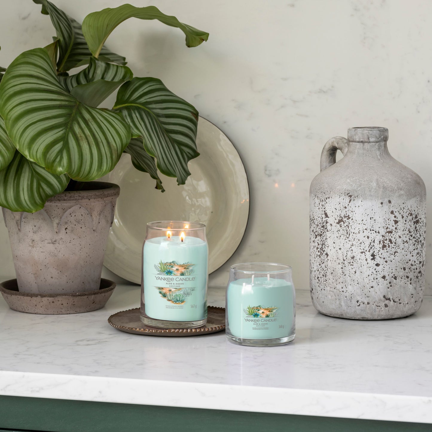 Yankee Candle® Signature vidutinė žvakė – Aloe & Agave
