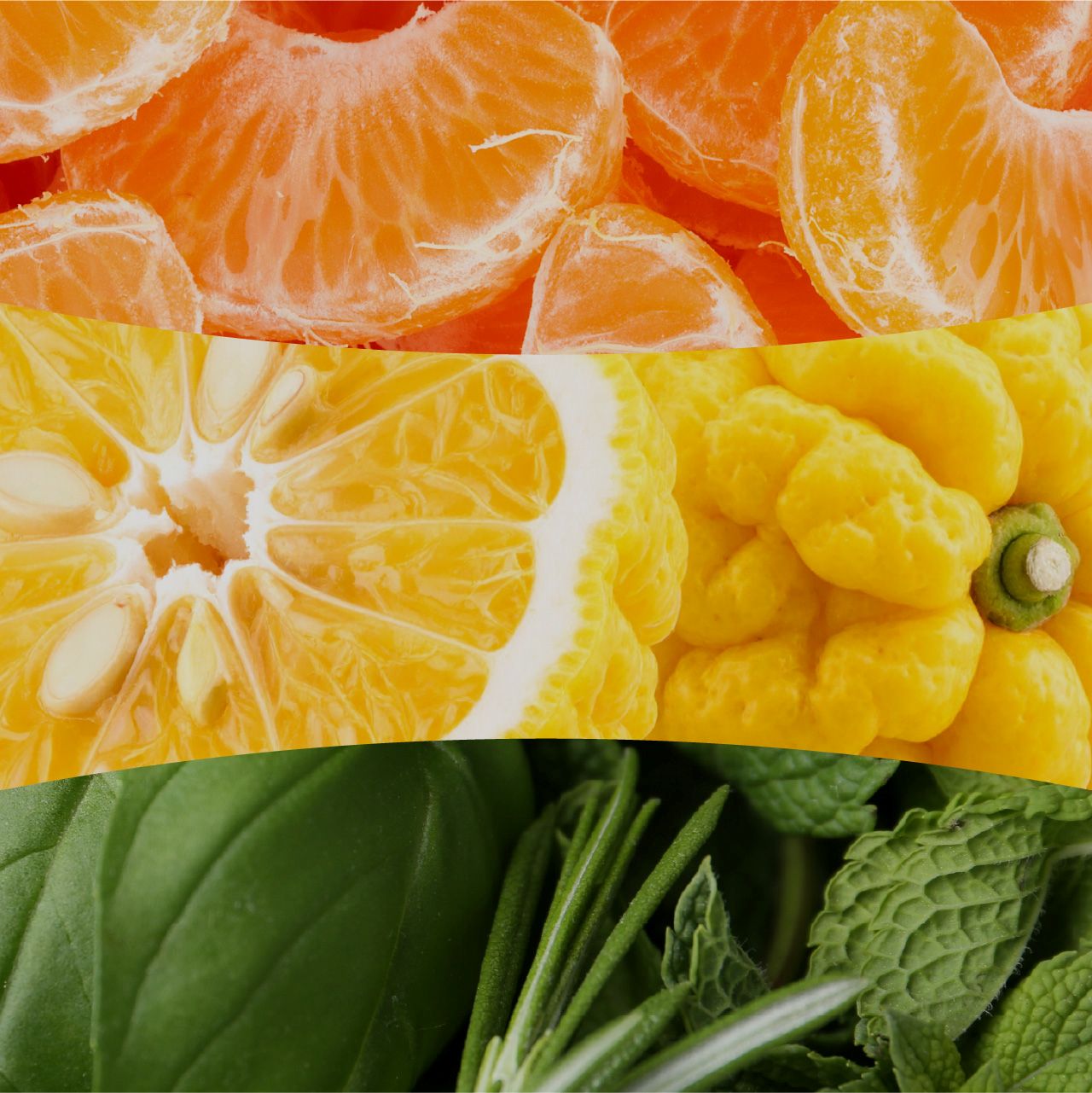 Tangerine & Citron