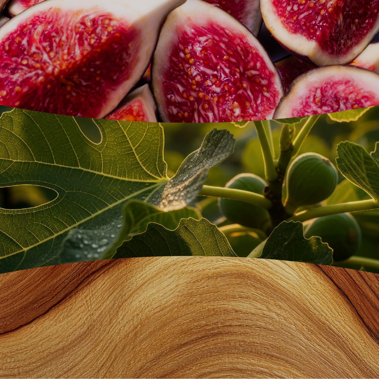 Verdant Fig