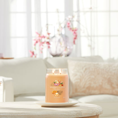 Yankee Candle® Signature didelė žvakė – Mango Ice Cream