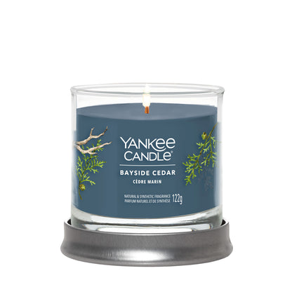 Yankee Candle Signature kolekcijos maža stiklinė žvakė – Bayside Cedar