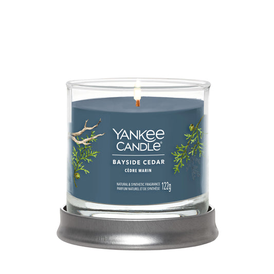 Yankee Candle Signature kolekcijos maža stiklinė žvakė – Bayside Cedar