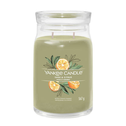 Yankee Candle® Signature didelė žvakė – Sage & Citrus